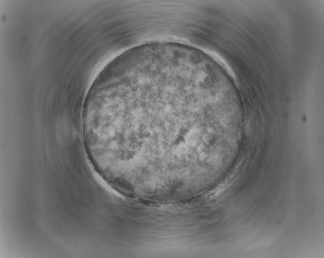 X0000075920903200610062204