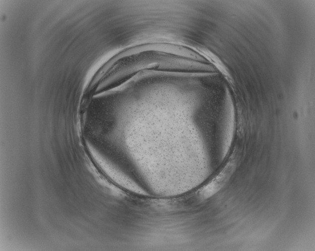 X0000075920904200610062204