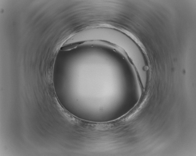 X0000075920905200610062204