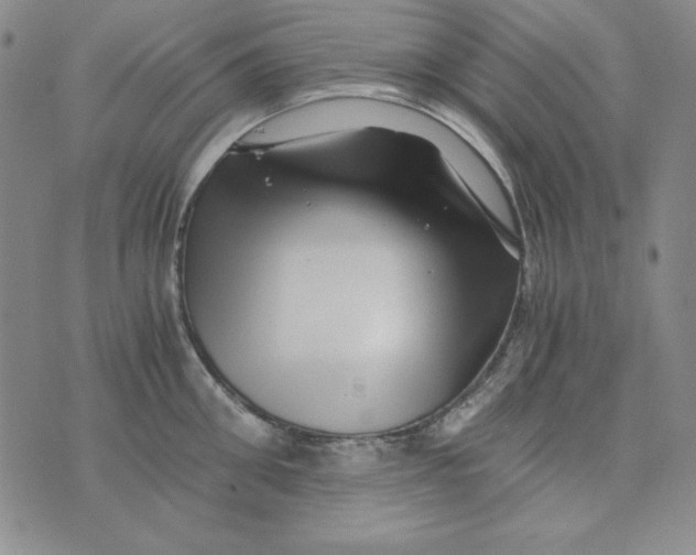 X0000075920906200610062204