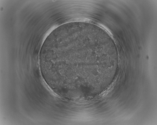 X0000075920907200610062204