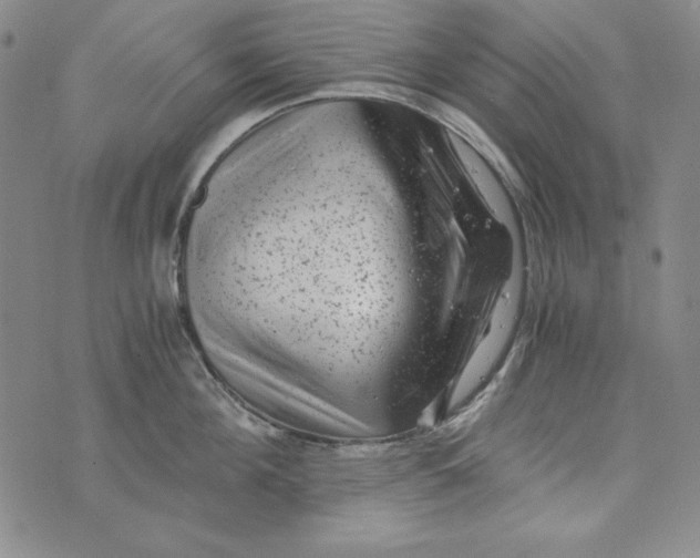 X0000075920908200610062204