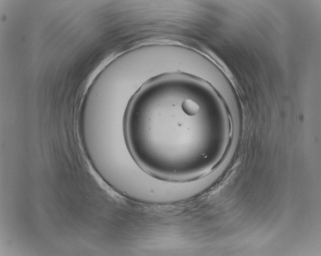 X0000075920909200610062204