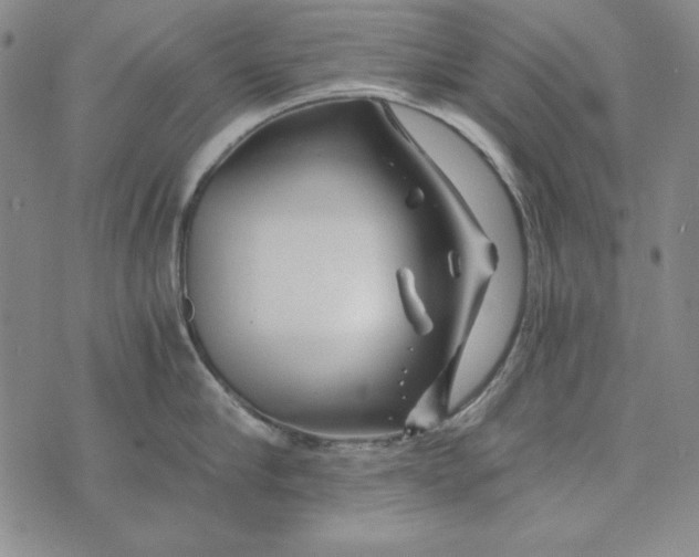 X0000075920910200610062204