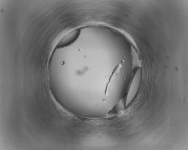 X0000075920911200610062204