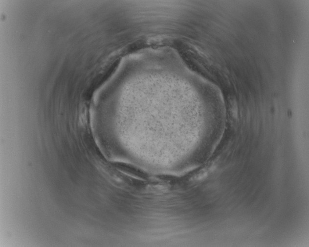 X0000075920914200610062204