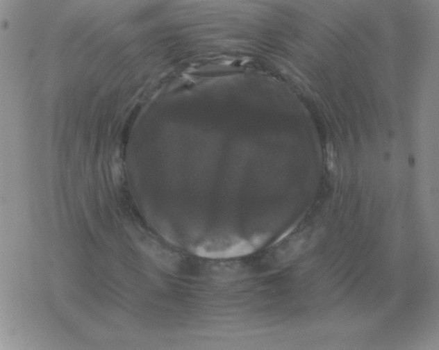 X0000075920915200610062204