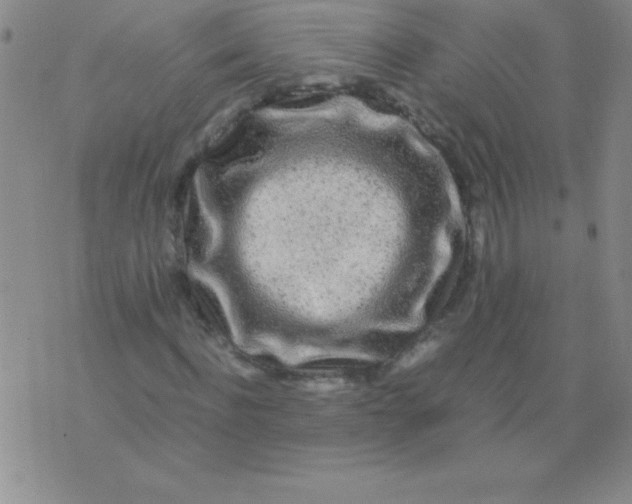 X0000075920916200610062204