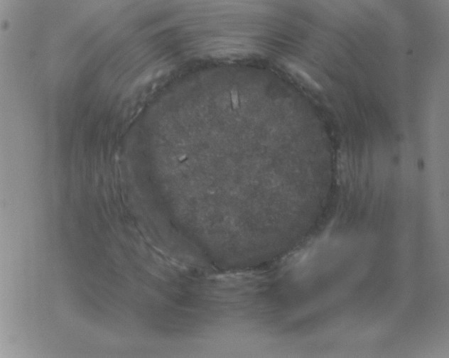 X0000075920917200610062204