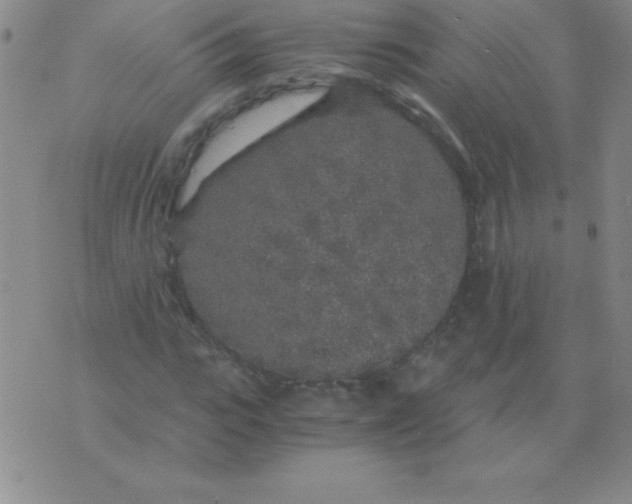 X0000075920919200610062204