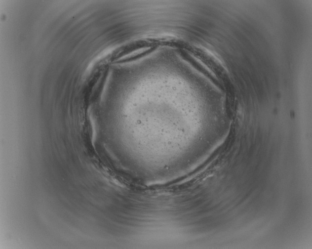 X0000075920920200610062204