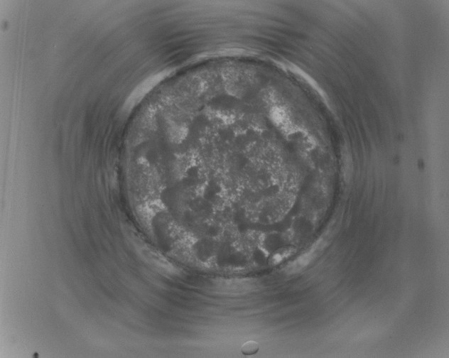 X0000075920921200610062204