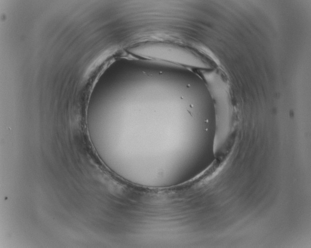 X0000075920922200610062204