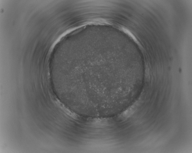 X0000075920923200610062204