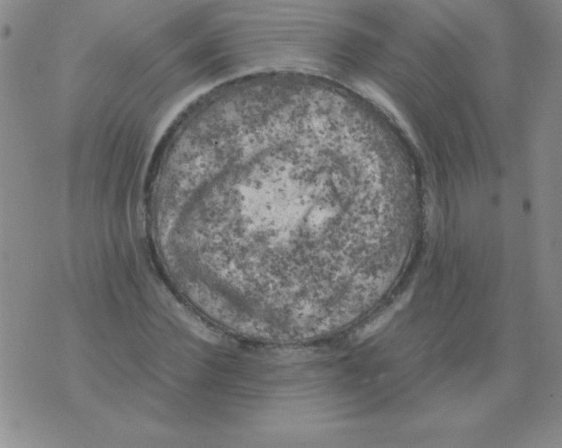 X0000075920924200610062204