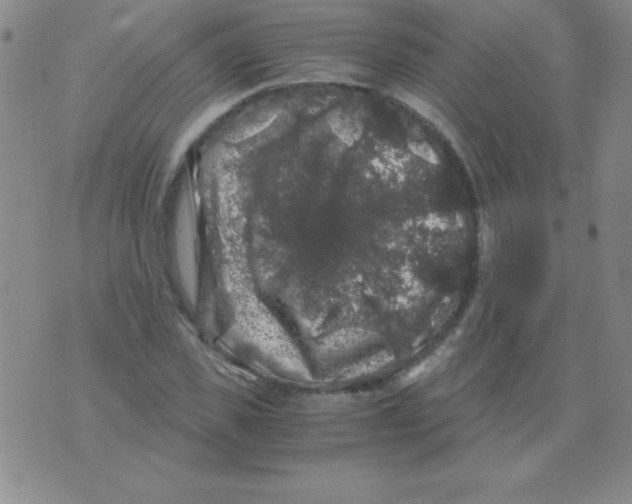 X0000075920925200610062204