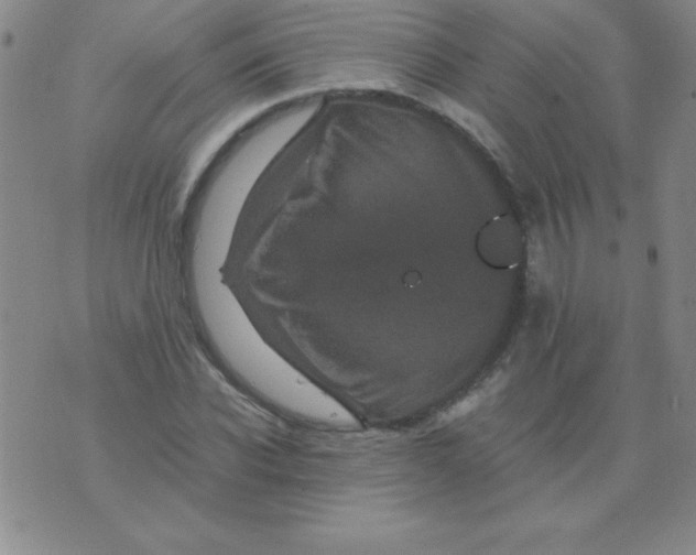 X0000075920926200610062204