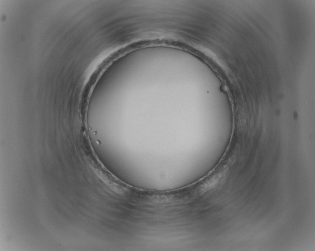 X0000075920927200610062204