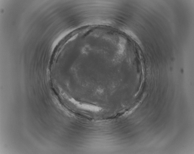 X0000075920928200610062204