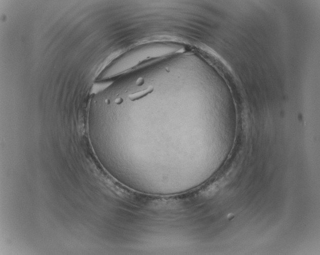 X0000075920929200610062204