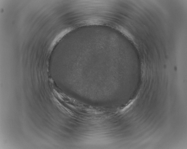 X0000075920930200610062204