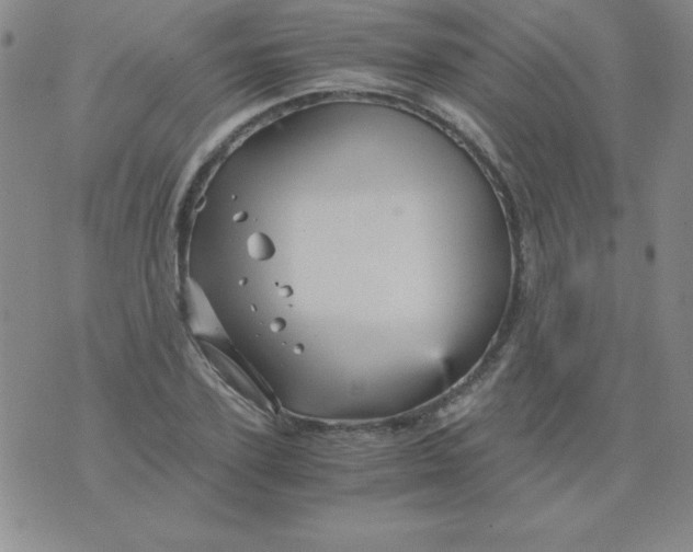 X0000075920931200610062204