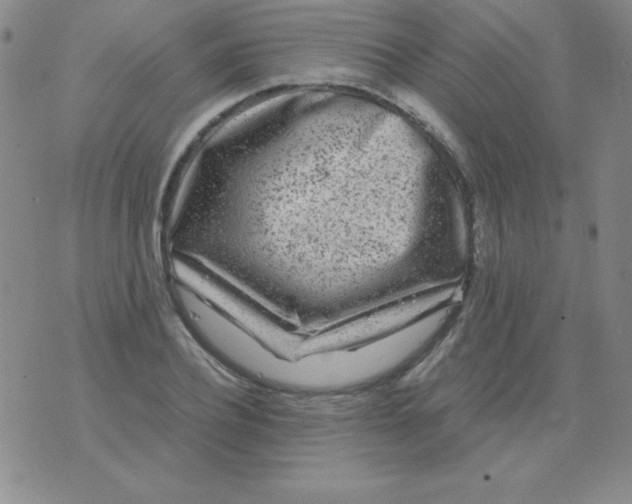 X0000075920932200610062204