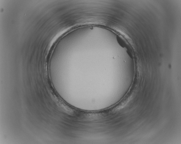 X0000075920933200610062204