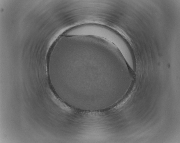 X0000075920934200610062204