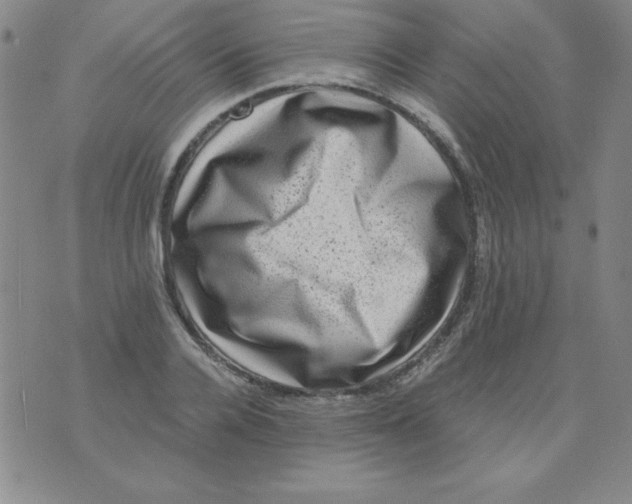 X0000075920936200610062204