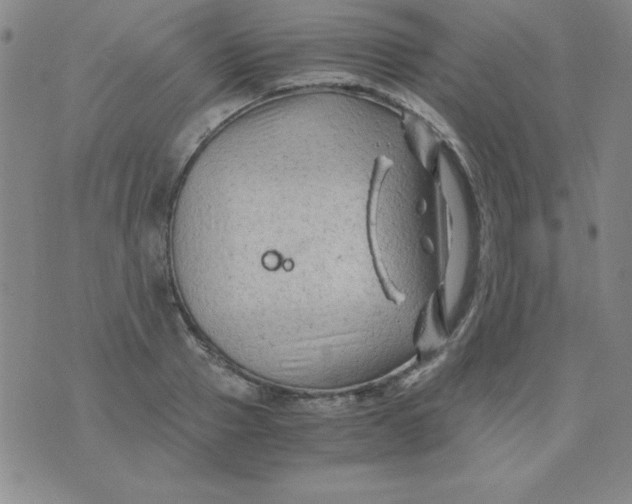 X0000075920937200610062204