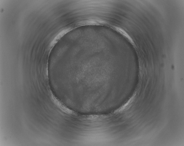 X0000075920938200610062204