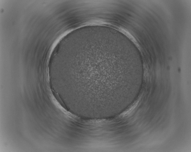 X0000075920939200610062204