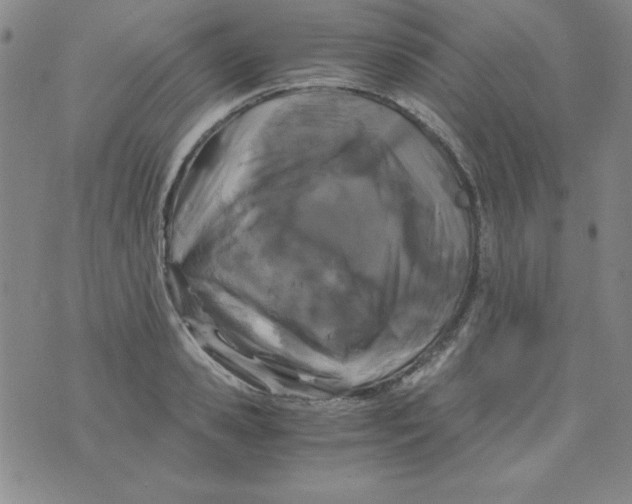 X0000075920941200610062204