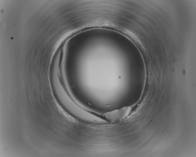 X0000075920942200610062204