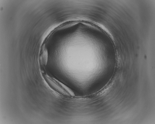 X0000075920943200610062204