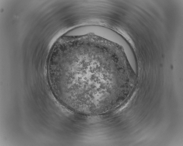 X0000075920944200610062204