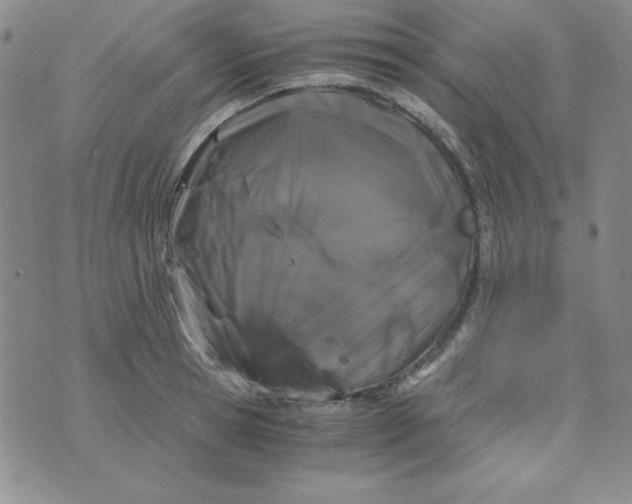 X0000075920945200610062204