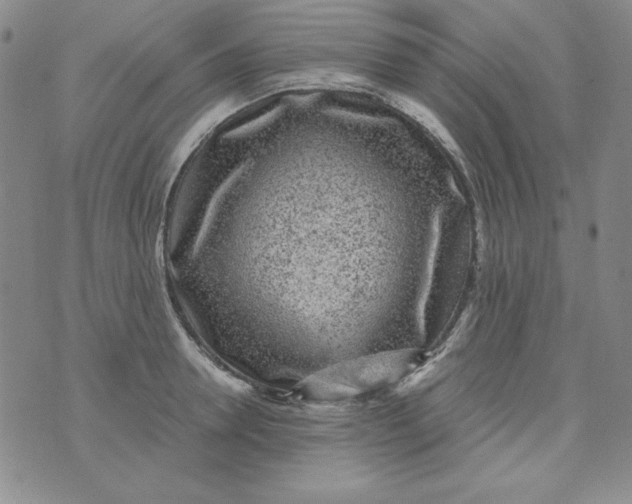 X0000075920946200610062204