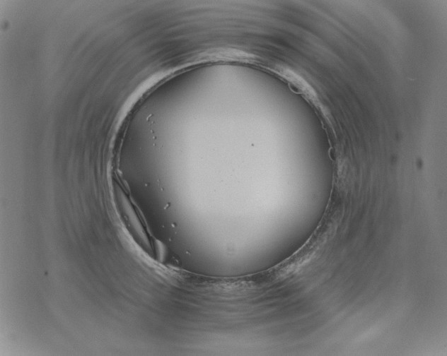 X0000075920947200610062204