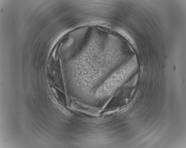 X0000075920948200610062204