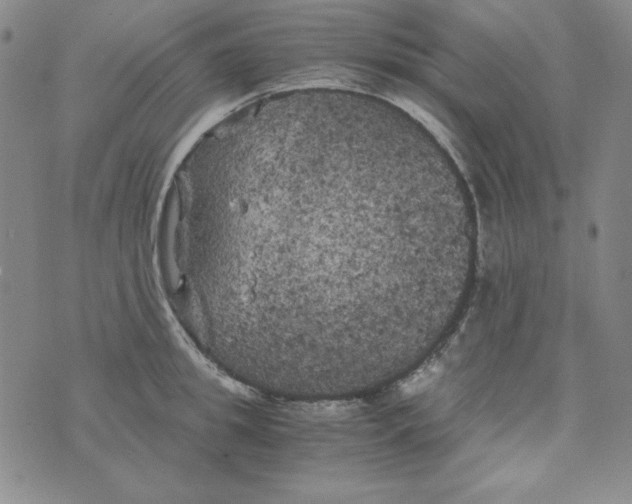 X0000075920949200610062204