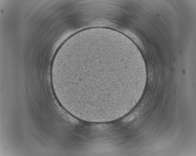 X0000075920950200610062204