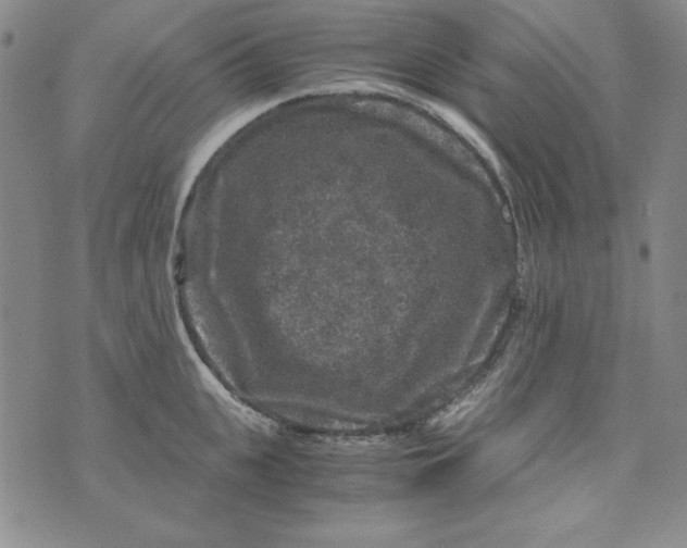 X0000075920951200610062204