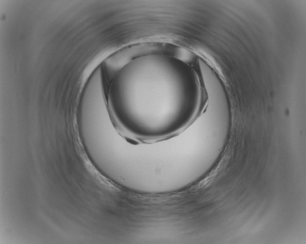 X0000075920952200610062204