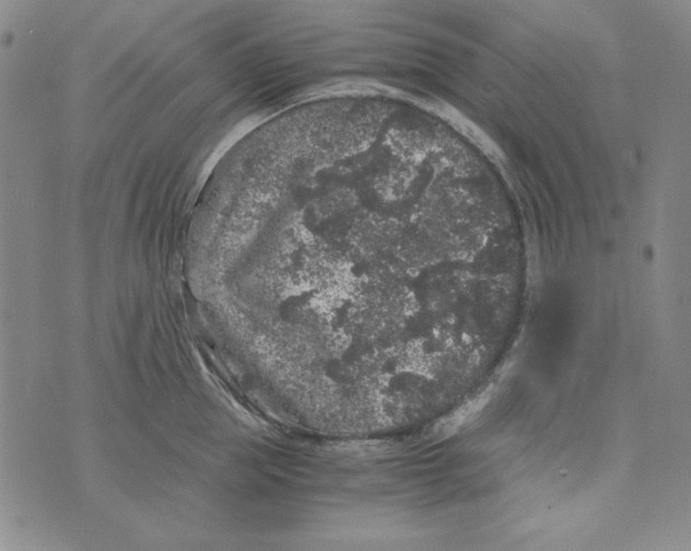 X0000075920953200610062204