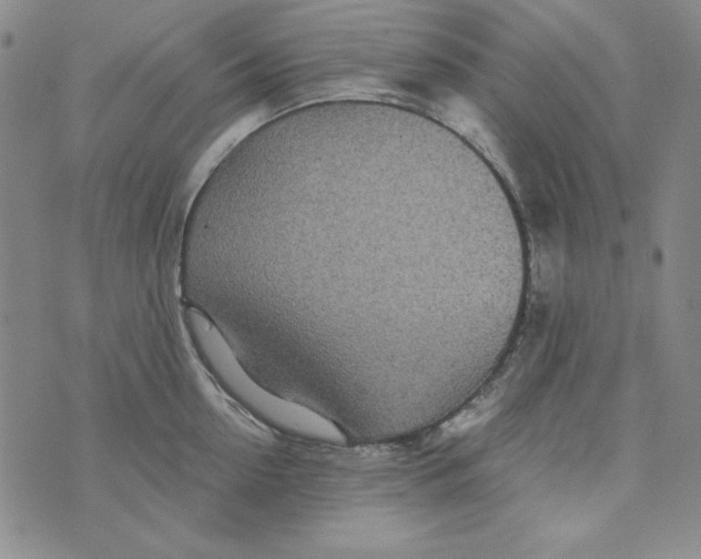 X0000075920954200610062204