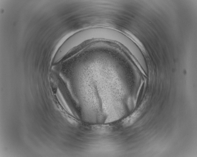 X0000075920956200610062204