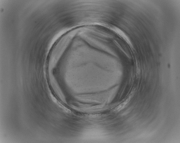 X0000075920958200610062204