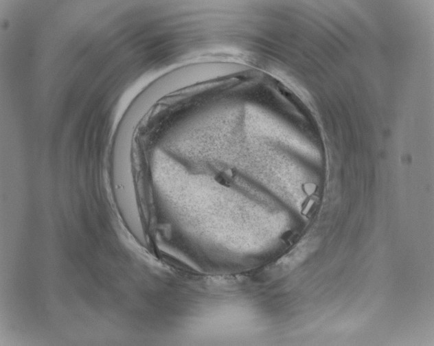 X0000075920960200610062204